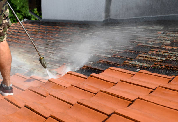 Best Affordable Power Washing  in The Colony, TX