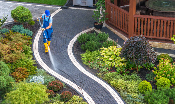 Best Deck Pressure Washing  in The Colony, TX